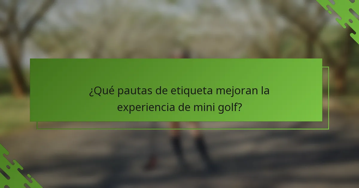 ¿Qué pautas de etiqueta mejoran la experiencia de mini golf?